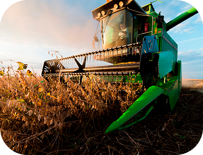 Planejar-a-semeadura-da-soja-para-que-se-tenham-altos-indices-de-produtividade-e-rentabilidade-na-lavoura